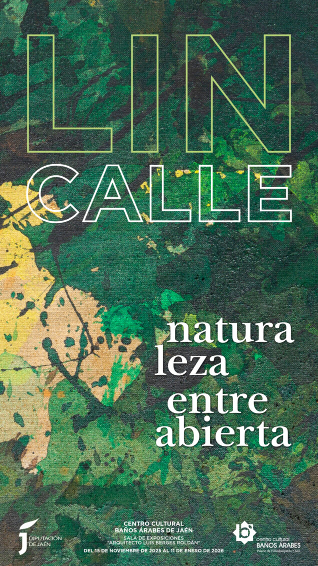 Cartel de la exposición LIN CALLE en el Centro Cultural Baños Árabes de Jaén, con diseño vertical y detalles del evento artístico.